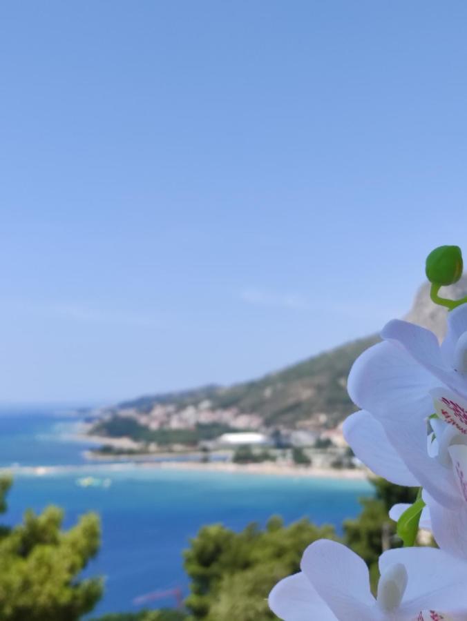 Rake Appartement Omiš Buitenkant foto